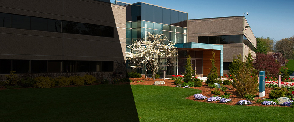 Elmont Landscapers
