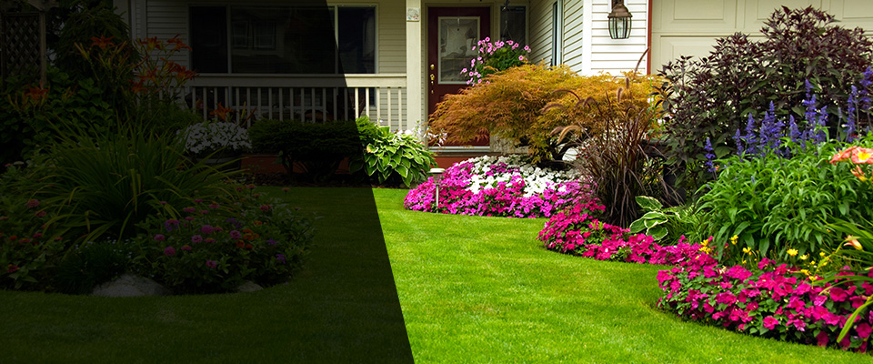 Elmont Landscapers